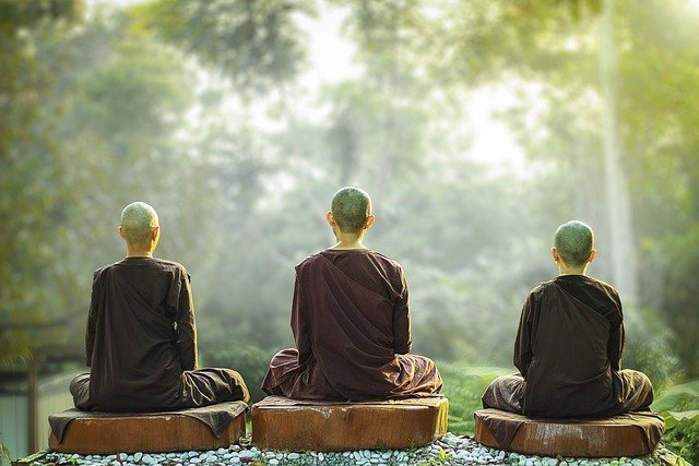 todos-somos-canales Vista trasera de tres monjes meditando en un bosque