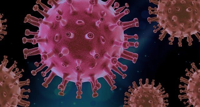 Infografía 3D de unos virus