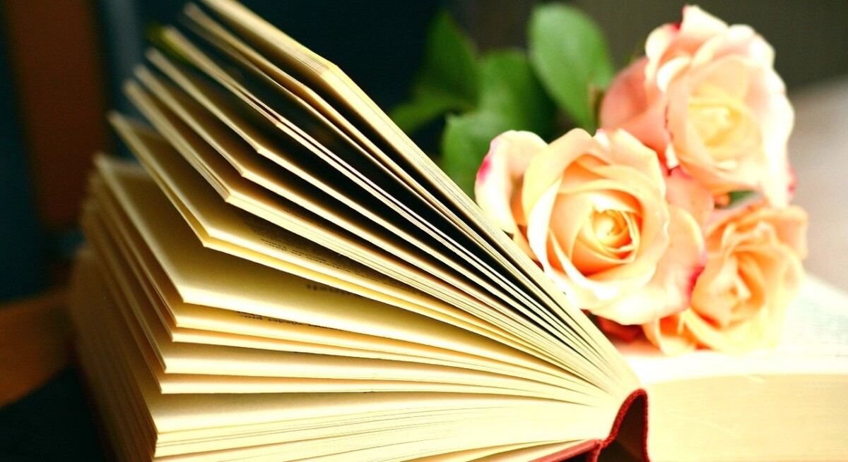 máster registros libro