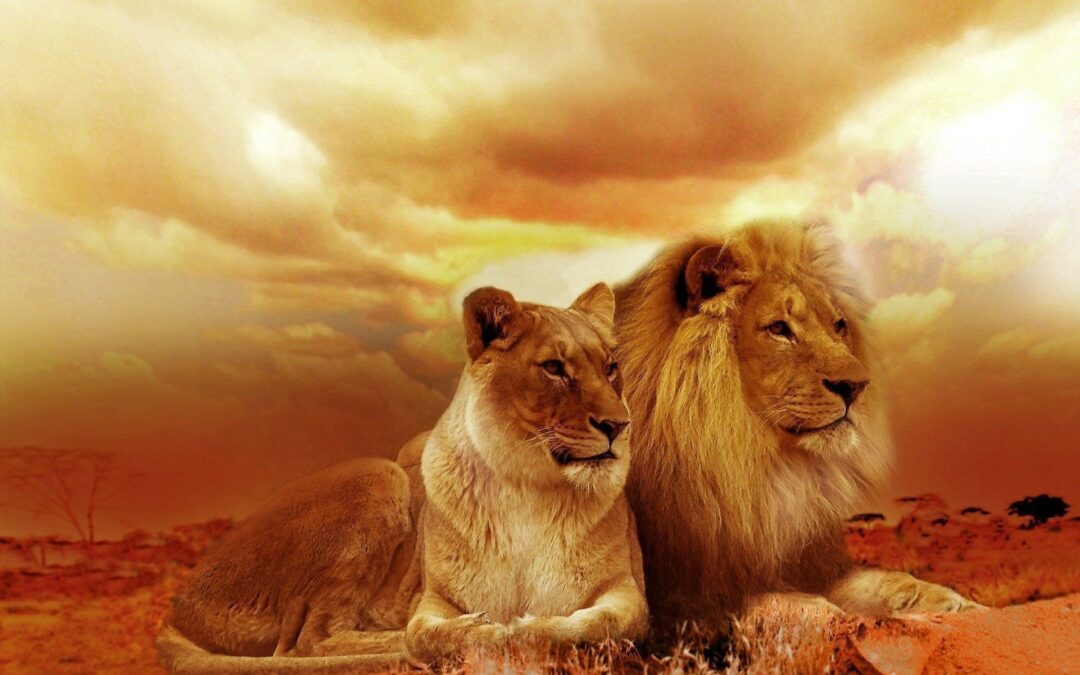 SEXUALIDAD Y ESPIRITUALIDAD