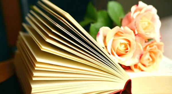 master-registros-libro-2 Máster en Registros Akáshicos